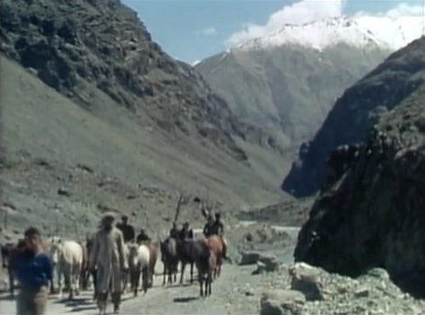 ラマ教の高地にて―インド・ラダックの旅―